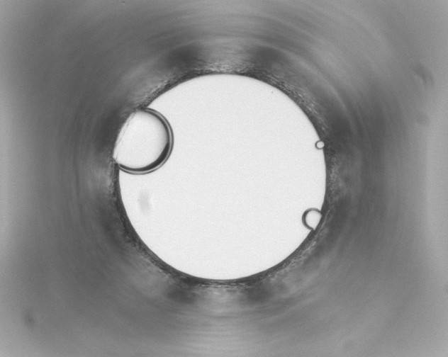 X0000115240305200911271849