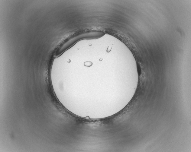 X0000115240306200911271849