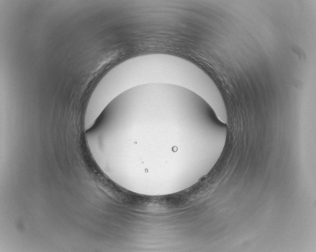 X0000115240308200911271849