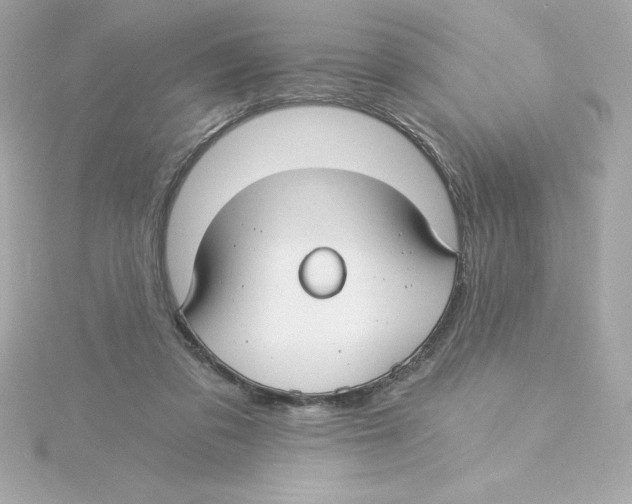 X0000115240309200911271849