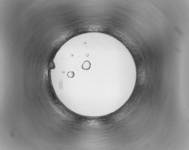 X0000115240310200911271849