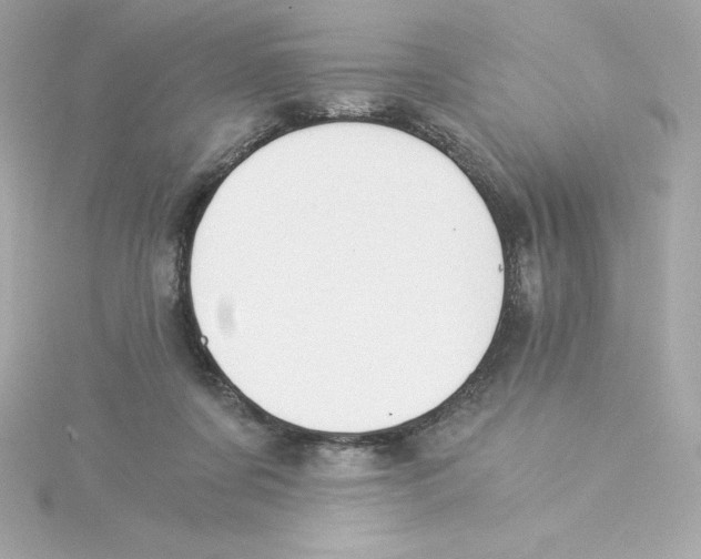 X0000115240311200911271849