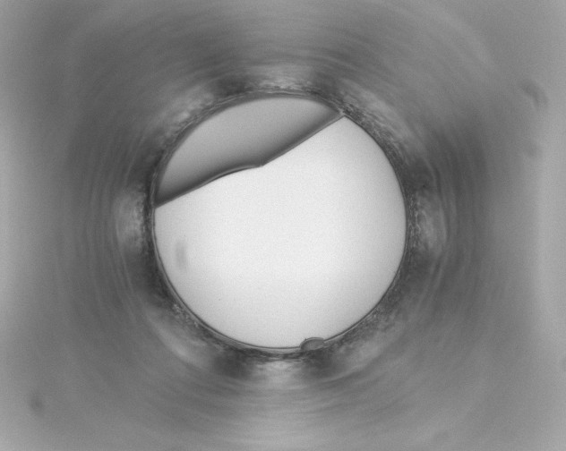 X0000115240312200911271849