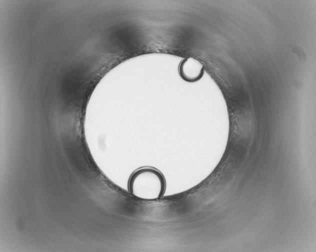 X0000115240313200911271849