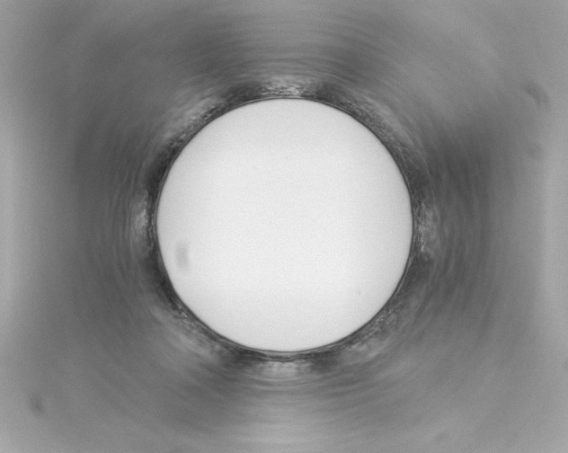 X0000115240314200911271849