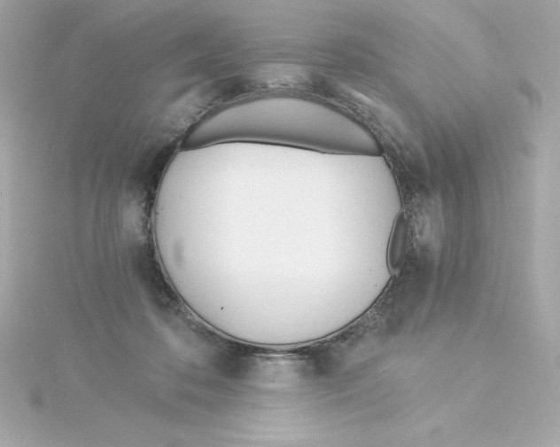 X0000115240316200911271849