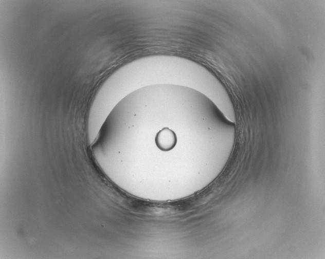 X0000115240317200911271849