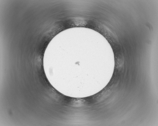 X0000115240321200911271848