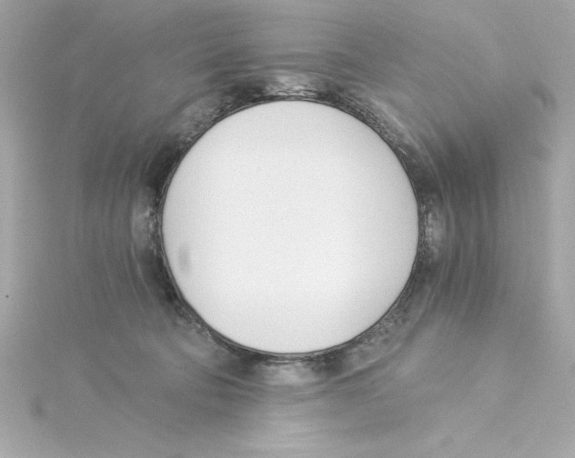 X0000115240322200911271848