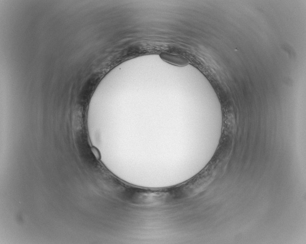 X0000115240323200911271848