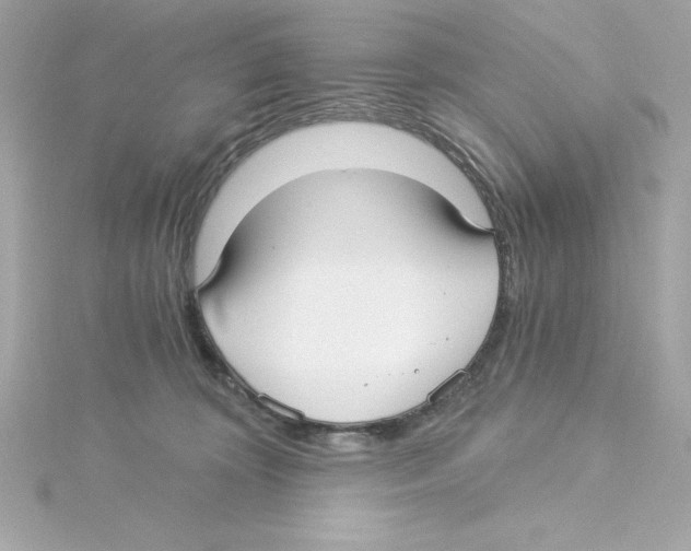 X0000115240324200911271848