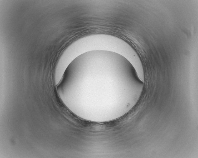 X0000115240325200911271848