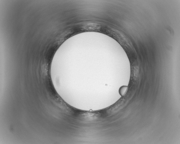 X0000115240326200911271848