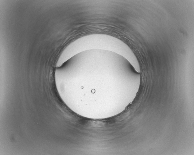 X0000115240327200911271848