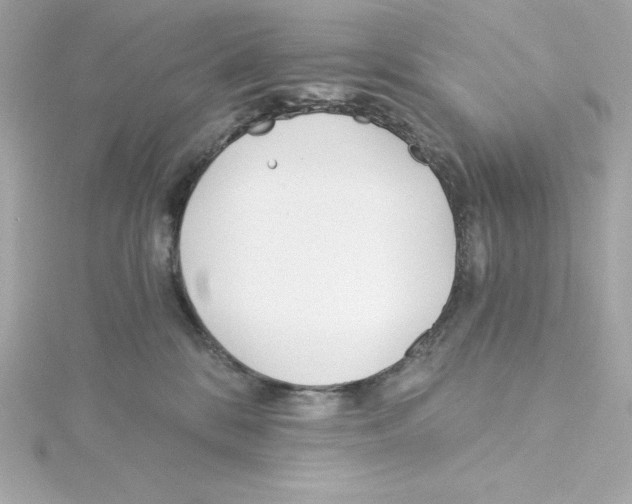 X0000115240328200911271848