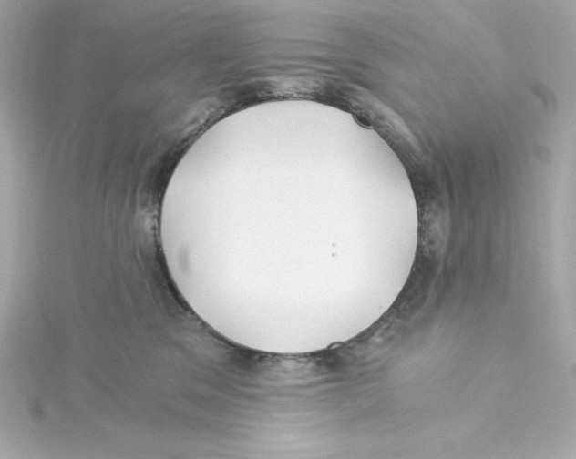 X0000115240329200911271848