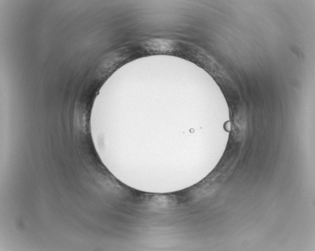 X0000115240330200911271848