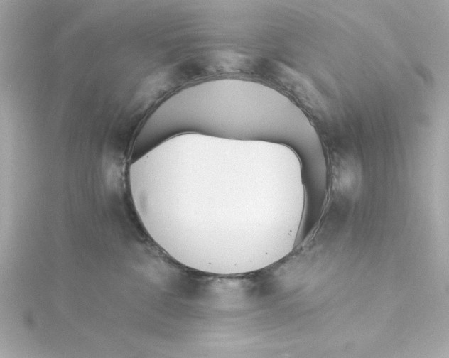 X0000115240332200911271848