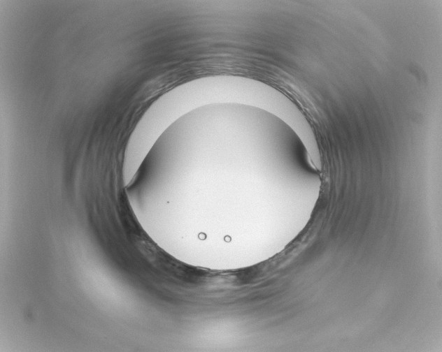 X0000115240333200911271848