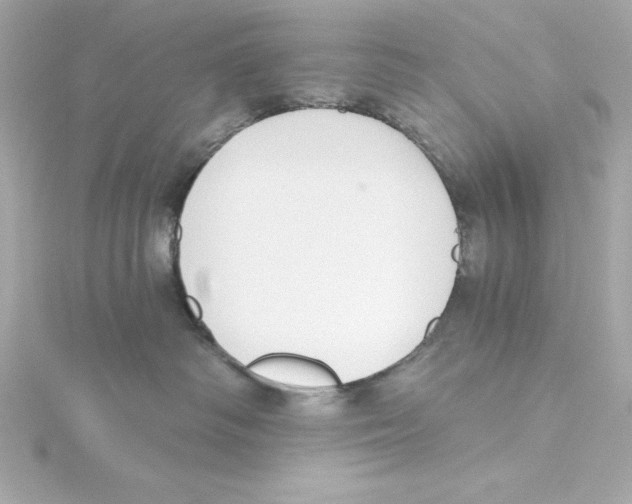 X0000115240334200911271848