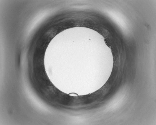 X0000115240335200911271848