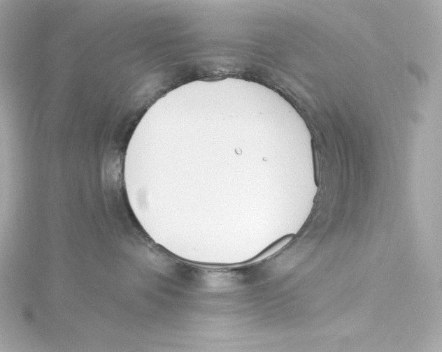 X0000115240336200911271848