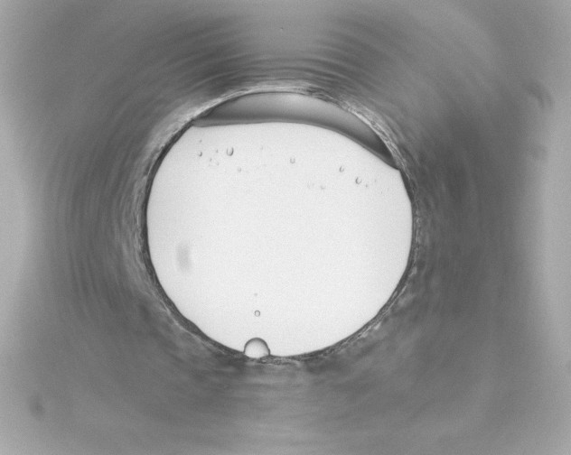 X0000115240337200911271848