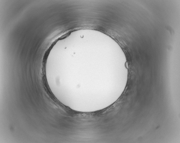 X0000115240338200911271848