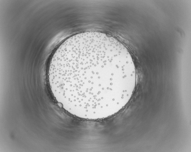 X0000115240339200911271848