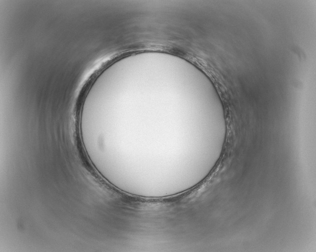 X0000115240342200911271848