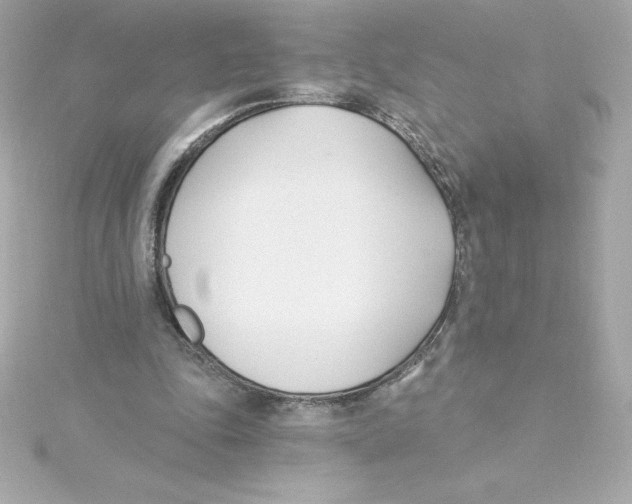 X0000115240343200911271848