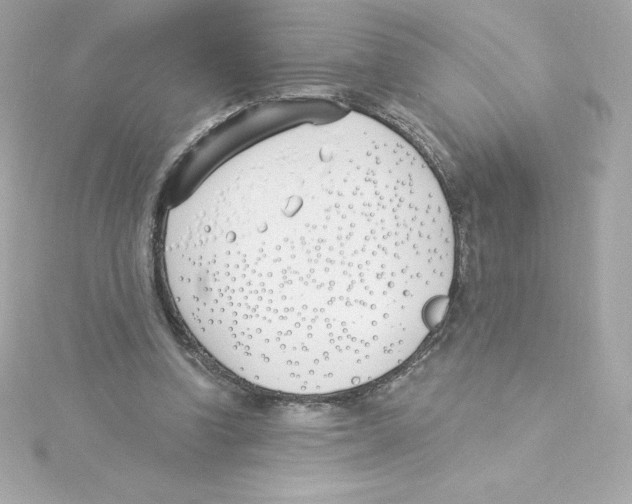 X0000115240346200911271848