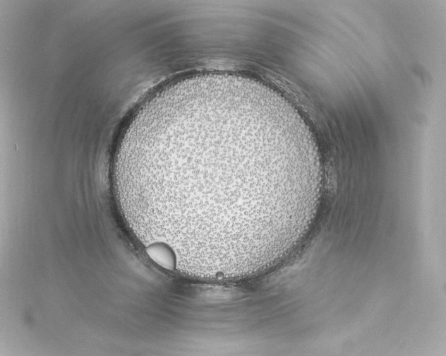 X0000115240347200911271848