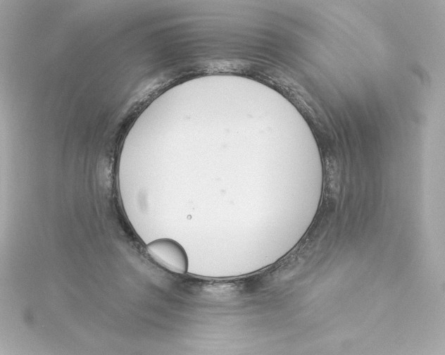 X0000115240357200911271848