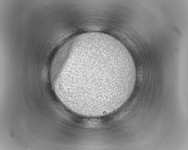 X0000115240359200911271848