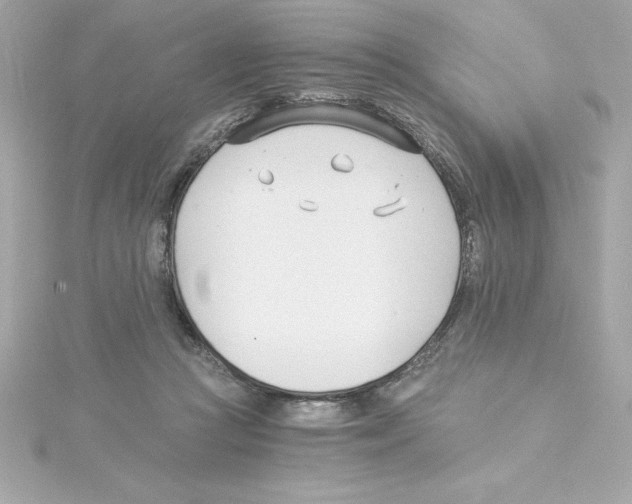 X0000115240361200911271848