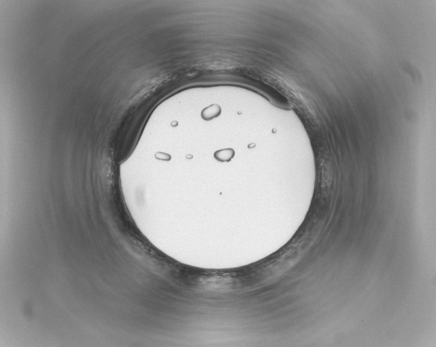 X0000115240362200911271848