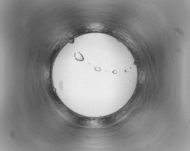 X0000115240365200911271848