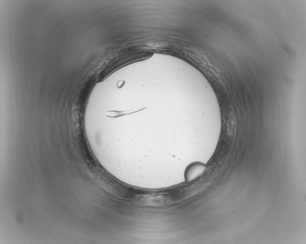 X0000115240366200911271848