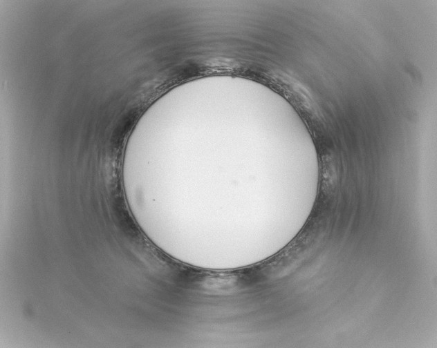 X0000115240369200911271848