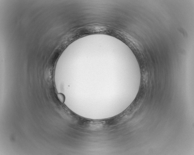 X0000115240373200911271848