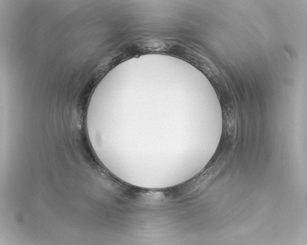 X0000115240374200911271848