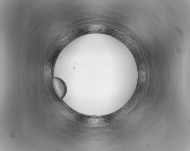 X0000115240375200911271848