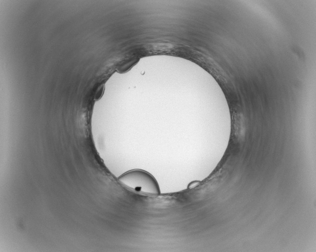 X0000115240378200911271848