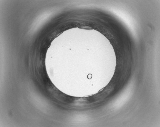 X0000115240382200911271848