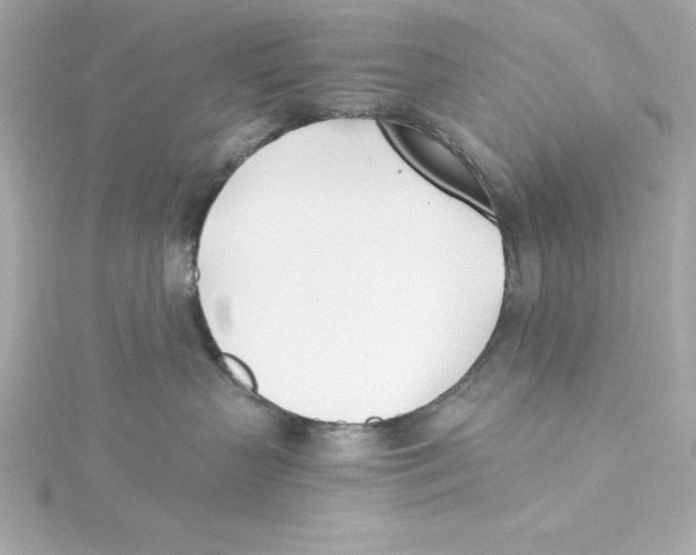 X0000115240383200911271848