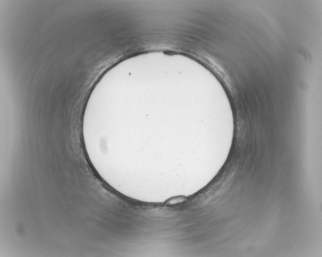 X0000115240385200911271848