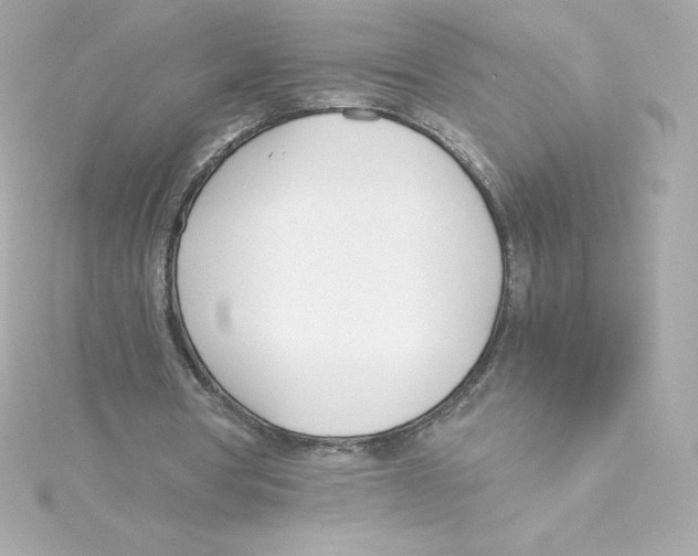 X0000115240386200911271848