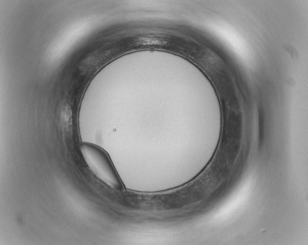 X0000115240387200911271848