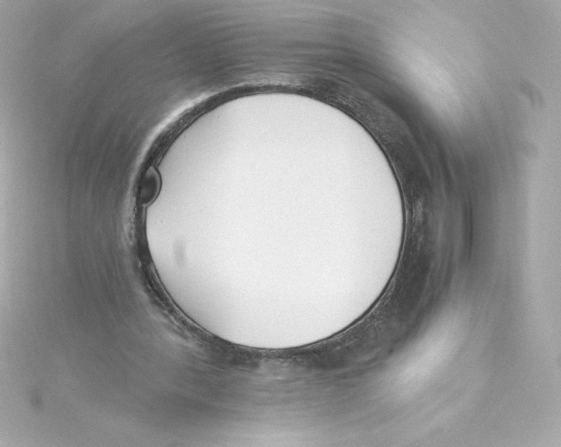 X0000115240388200911271848